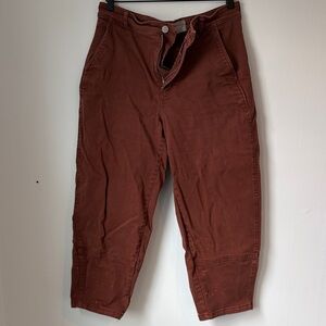Everlane Women's Wide-Leg Pants in Rust Brown